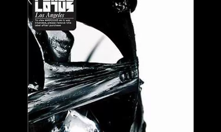 Flying Lotus - Melt!