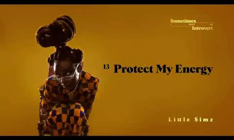 Little Simz - Protect My Energy (Official Audio)