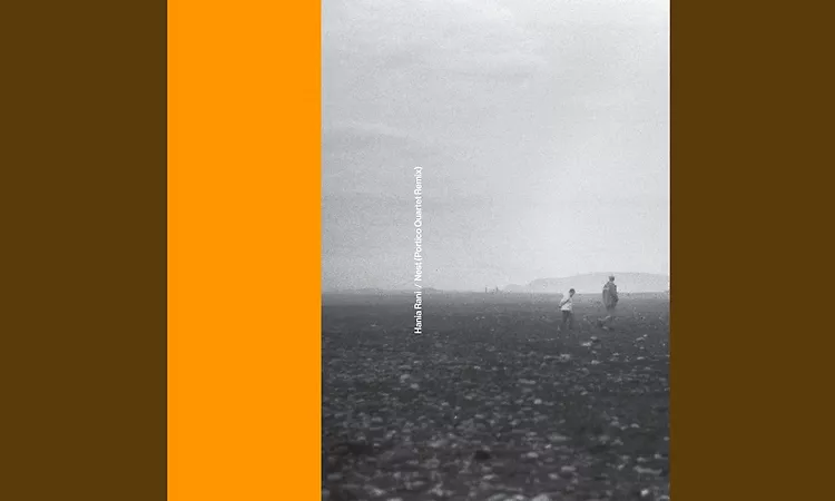 Nest (Portico Quartet Remix)