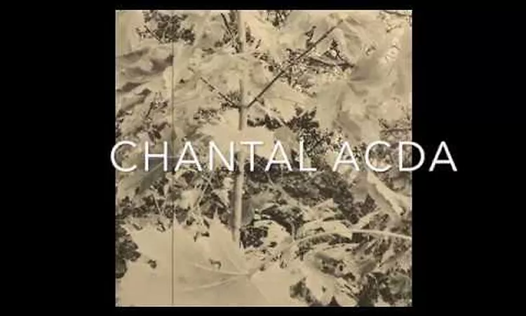 P?WAWAU // CHANTAL ACDA