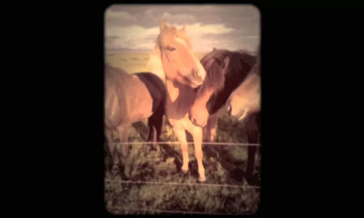 CHANTAL ACDA - EVERYTHING AND EVERYONE (OFFICIAL VIDEO) | GLITTERHOUSE RECORDS