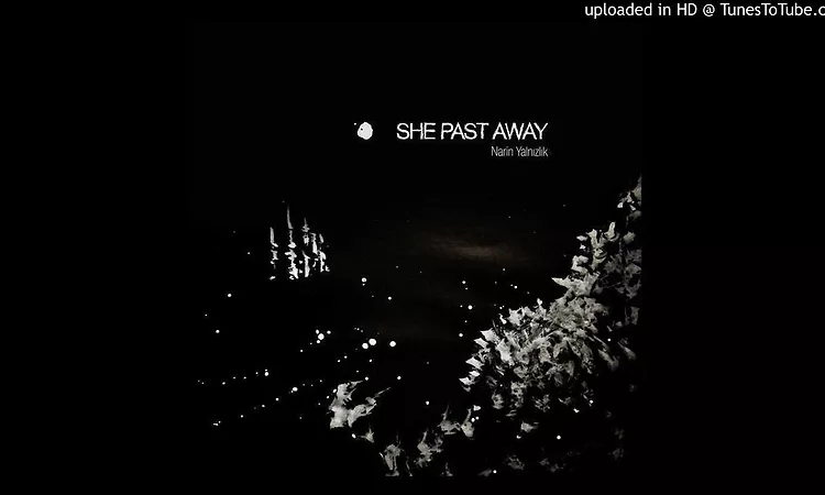 She Past Away - Narin Yalnizlik - 02 Asimilasyon