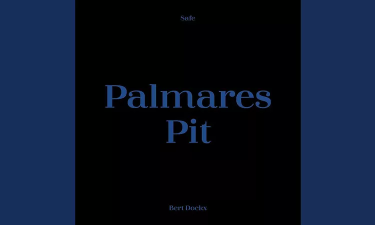 Bert Dockx - Palmares