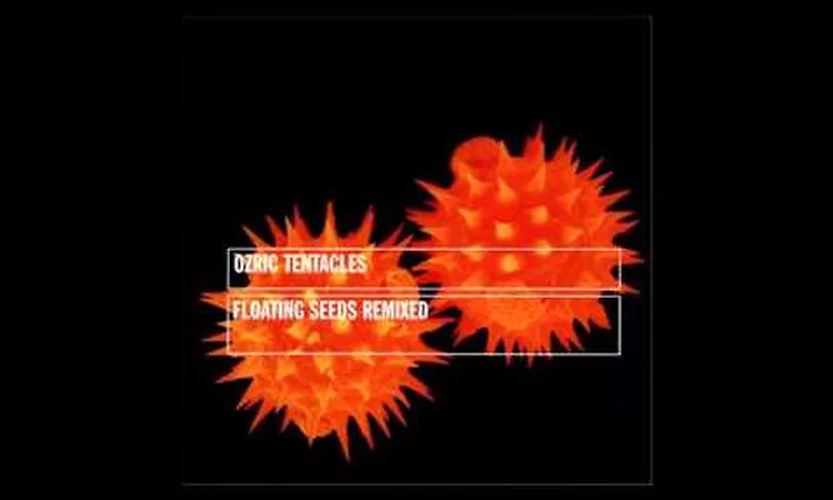 Ozric Tentacles - Strangeitude (Eat Static Remix)
