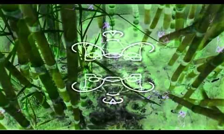 OZRIC TENTACLES - Sploosh! (Youth And Simon's Hydrophonic Decimation)