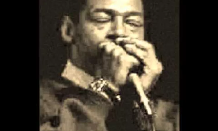 Little Walter - Hate To See You Go
