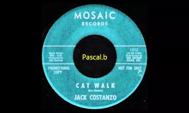Jack Costanzo - Cat walk