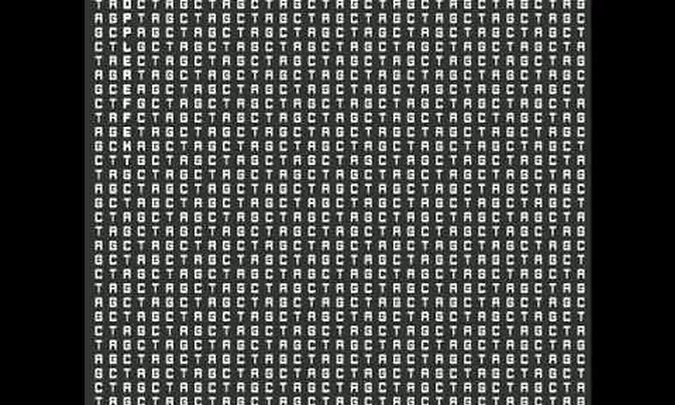 Dopplereffekt ?-- Zygote