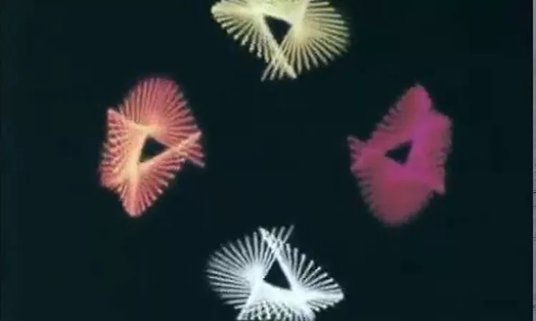Boards of Canada - Basefree