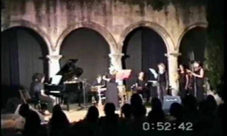 Wim Mertens - Maximizing the audience (1996)