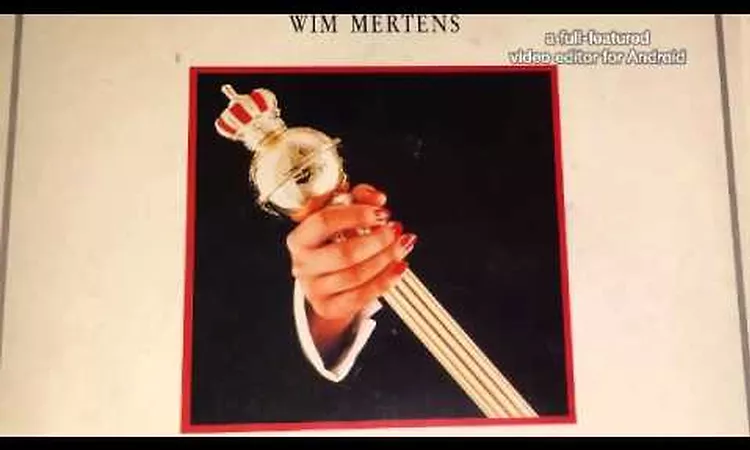 Wim Mertens - Maximizing The Audience
