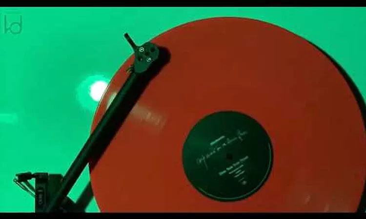 Madonna - Forbidden Love (Vinyl Video)