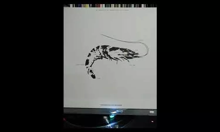 Ebi - Space Teddy EP 2 ( Vinyl )