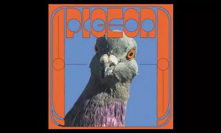 Pigeon - War (Jam)
