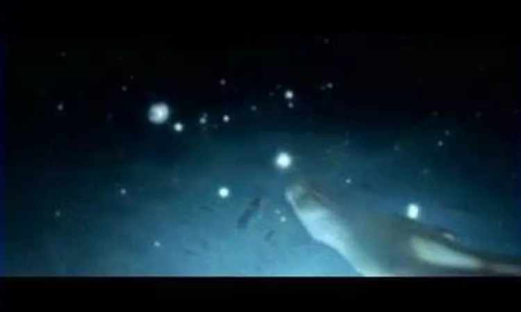 bj?rk: desired constellation
