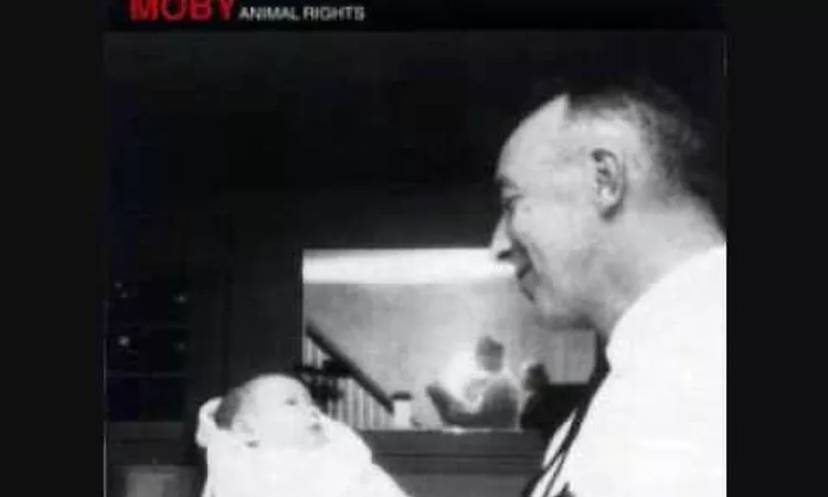 Face It - Moby (1996)