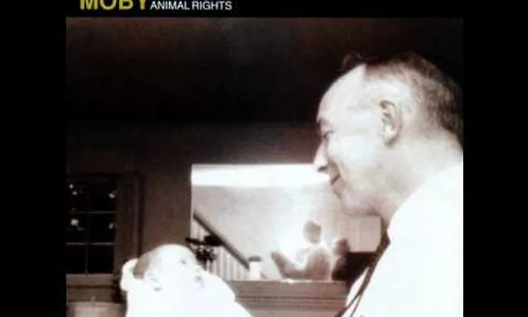 Moby - Someone to Love