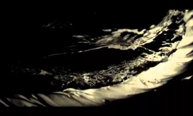 Moderat - Seamonkey