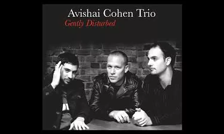 Avishai Cohen - The Ever Evolving Etude