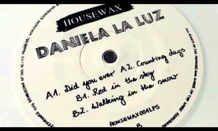 A1. Daniela La Luz - Did You Ever (Original Mix)