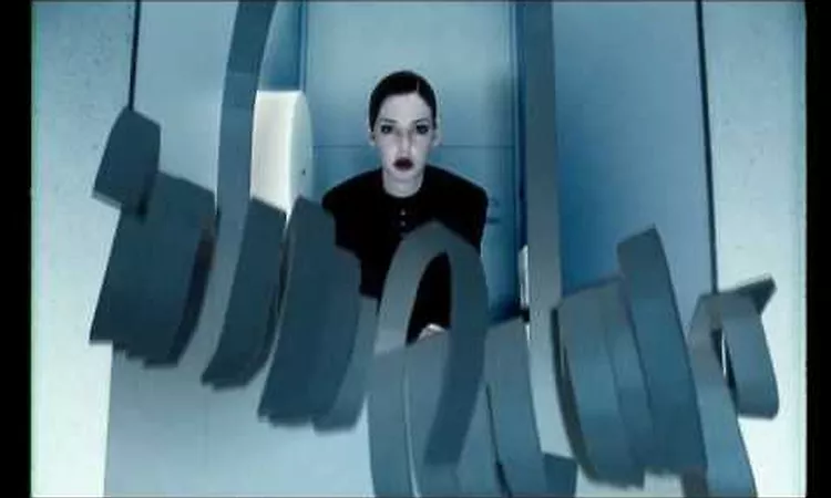 PLACEBO - Slave To The Wage