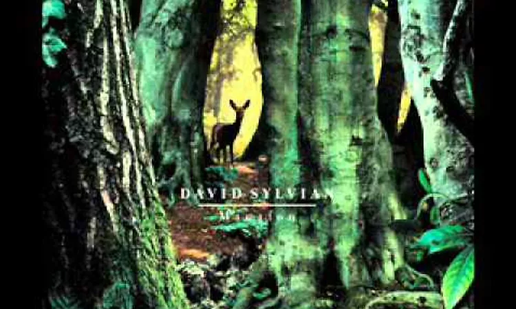 David Sylvian - Manafon