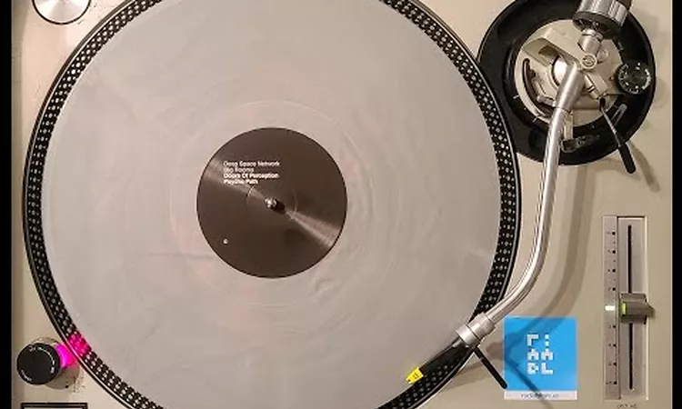 Deep Space Network ?? Big Rooms (FULL LP REISSUE)