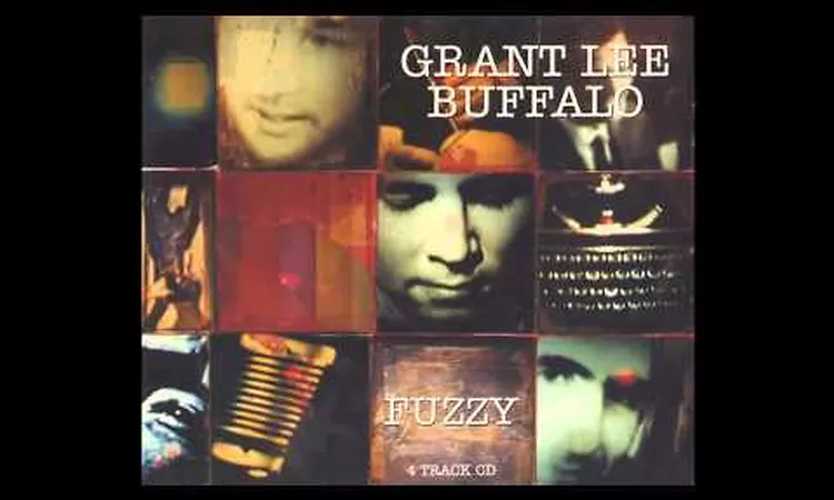Grant Lee Buffalo - You Just Have to be Crazy