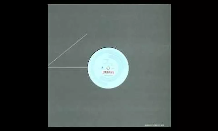 Matthew Herbert - You Saw It All (DJ Koze Mix)
