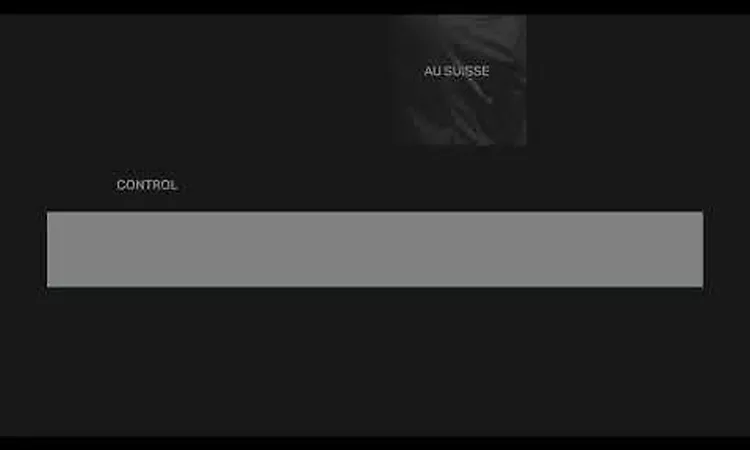 Au Suisse - Control (Official Audio)
