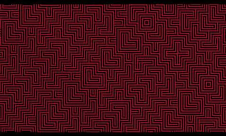 The Black Angels - 100 Flowers of Paracusia (Official Audio)