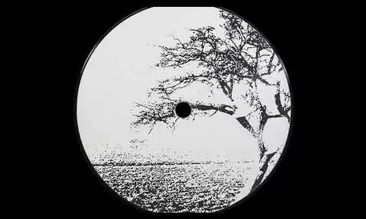 LoSoul - Open Door