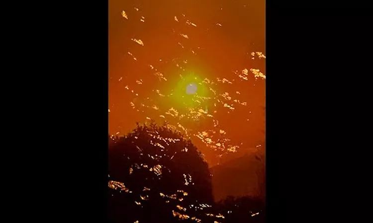 Pablo?s Eye ? ?Orpheus? (Trailer LP A mountain is an idea - TFM004)