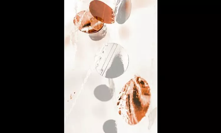 Pablo's Eye - ?Double Language? (Trailer LP A mountain is an idea - TFM004)