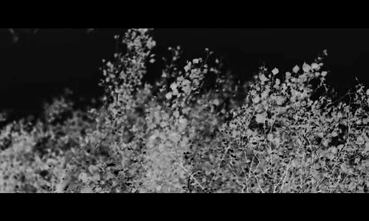 Jos? Gonz?lez - The Void (Lyric Video)