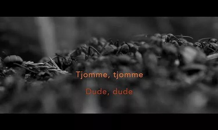 Jos? Gonz?lez - Tjomme (Lyric Video)