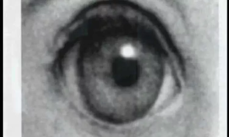 Eels - Not Ready Yet