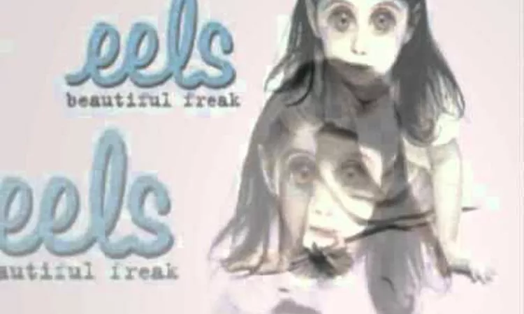 Eels - Flower