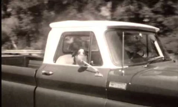 EELS - In My Younger Days - from END TIMES -- out now!