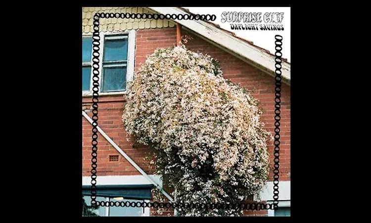 Surprise Chef - Daylight Savings