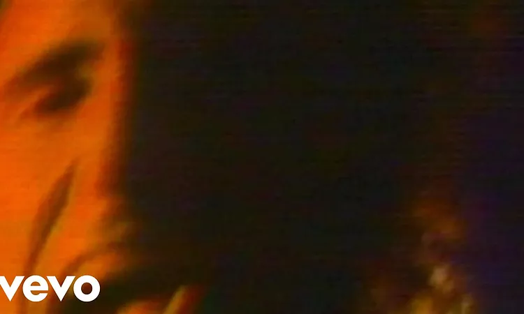 Nine Inch Nails - Down In It