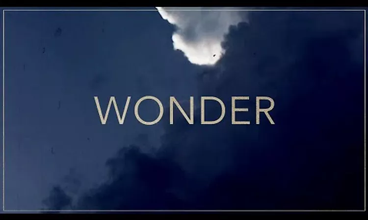 Boogie Belgique - Wonder (Official Music Video)