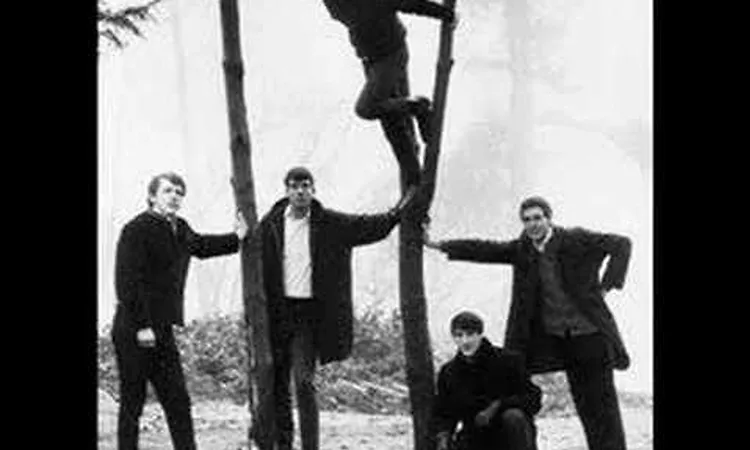 Have Love, Will Travel - The Sonics