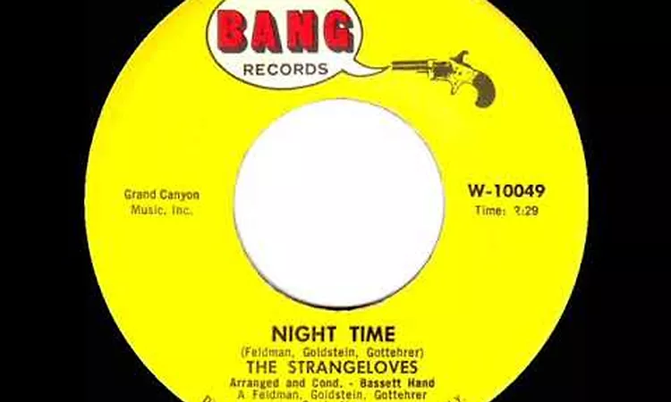 1966 HITS ARCHIVE: Night Time - Strangeloves (mono)