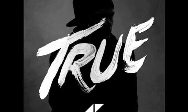 Avicii - All You Need Is Love (Bonus Track)