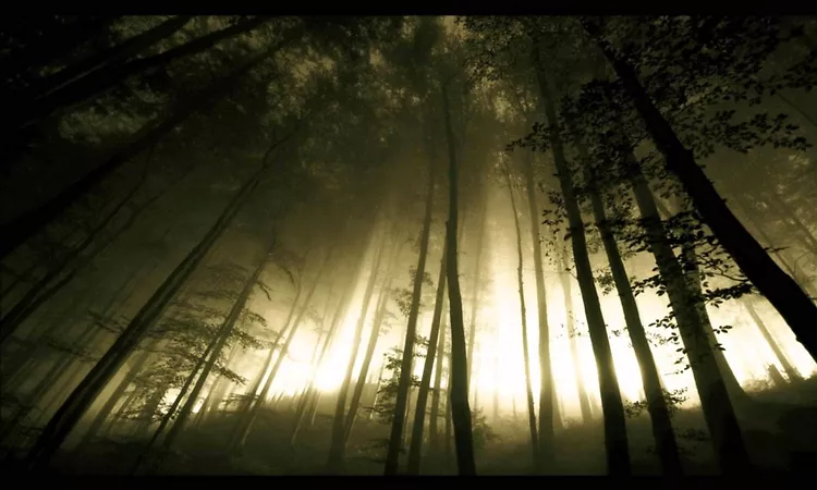 Autechre - Teartear (1080p HD/HQ)