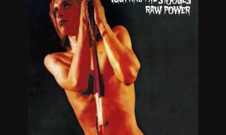 The Stooges - Gimme Danger
