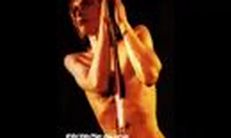 The Stooges: Raw Power