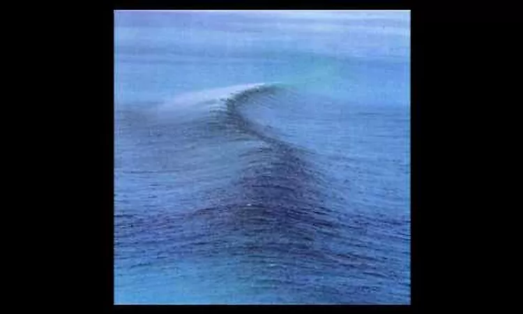 Ride-Seagull