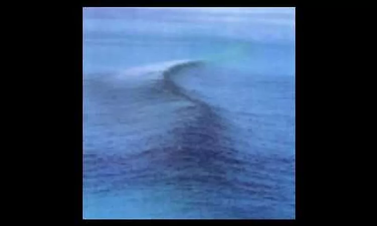 Ride-Polar Bear